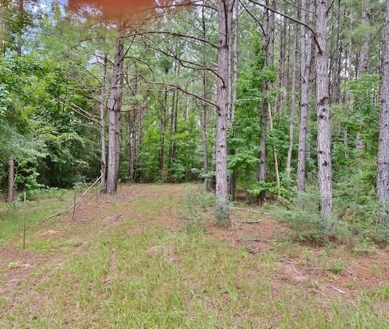 323 Ginntown Road Tylertown, MS 39667 - Photo 35 of 39 Photo 35