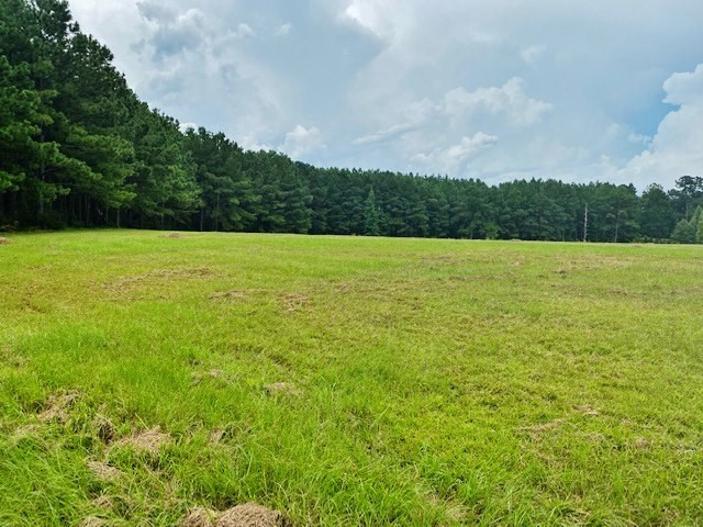 323 Ginntown Road Tylertown, MS 39667 - Photo 36 of 39 Photo 36