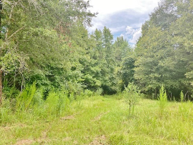 323 Ginntown Road Tylertown, MS 39667 - Photo 37 of 39 Photo 37