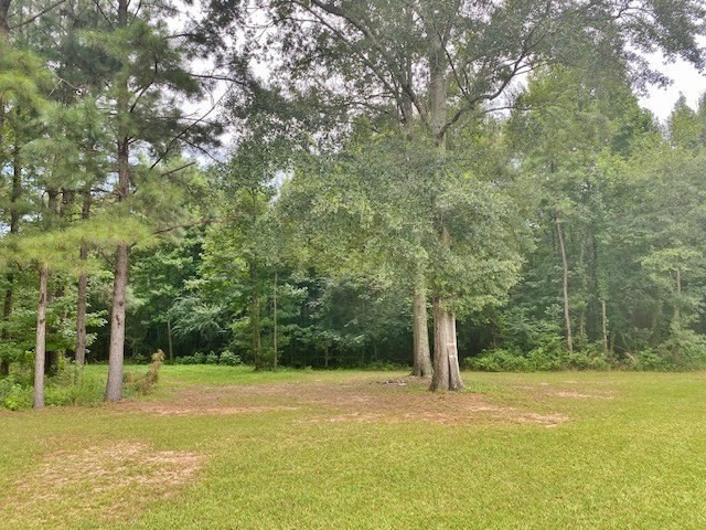 323 Ginntown Road Tylertown, MS 39667 - Photo 38 of 39 Photo 38
