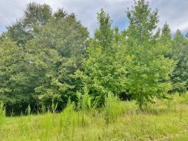 323 Ginntown Road Tylertown, MS 39667 - Photo 39 of 39 Photo 39