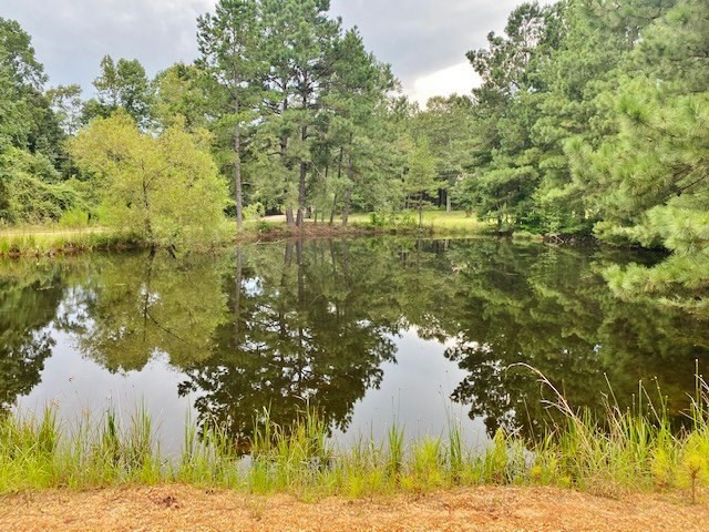 323 Ginntown Road Tylertown, MS 39667 - Photo 4 of 39 Photo 4