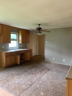 290 Mitchell Street Braidwood, IL 60408 - Photo 4 of 8