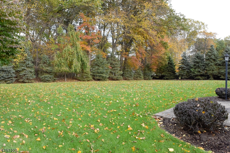 4 Cedar Gate Road Denville, NJ 07834 - Photo 24 of 25