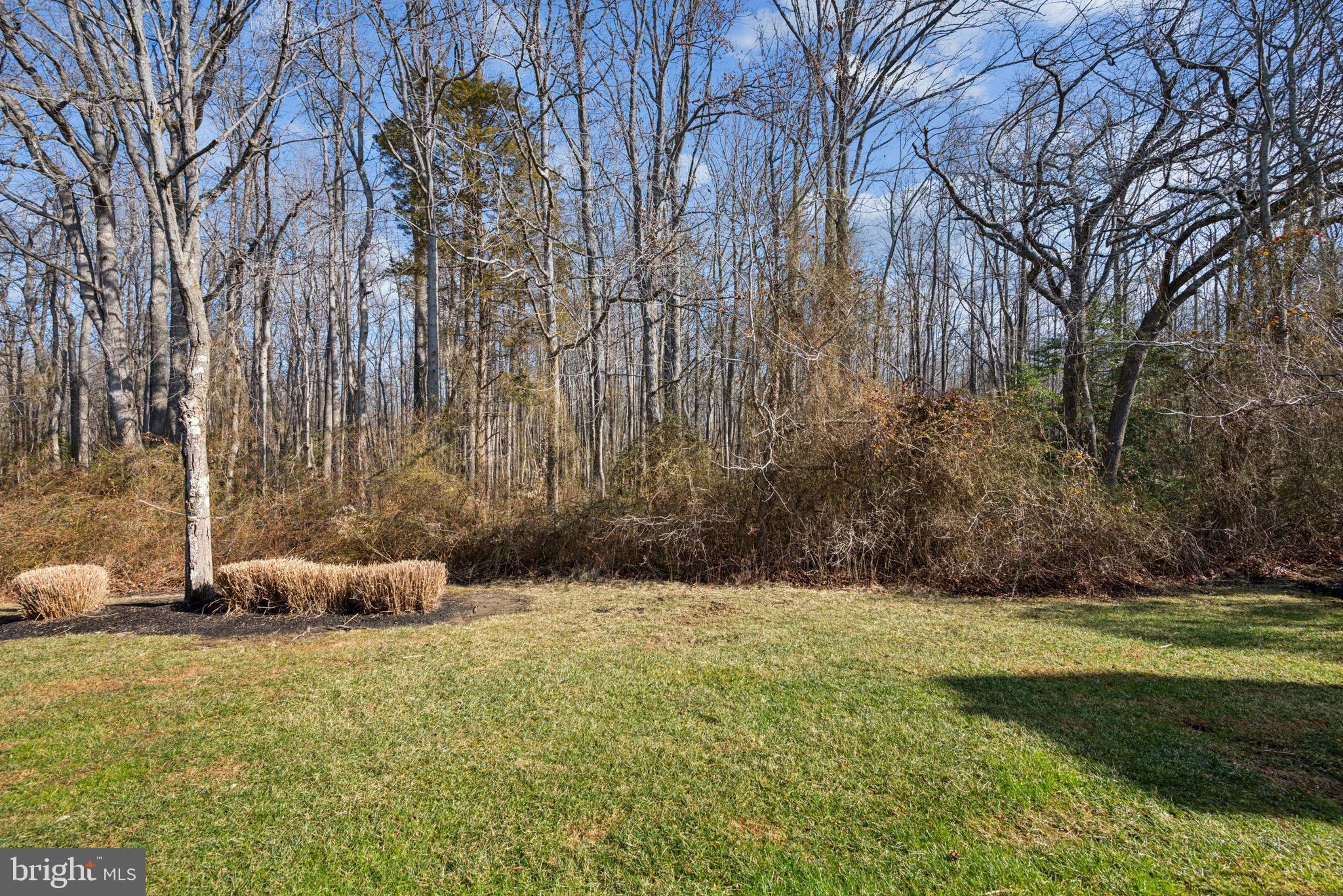 1807 Rabbit Run Road Marlton, NJ 08053 - Photo 23 of 23
