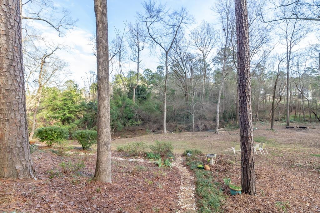 527 Brandermill Road Evans, GA 30809 - Photo 51 of 67