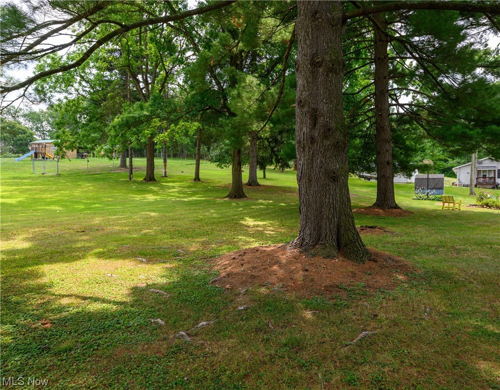 park like yard