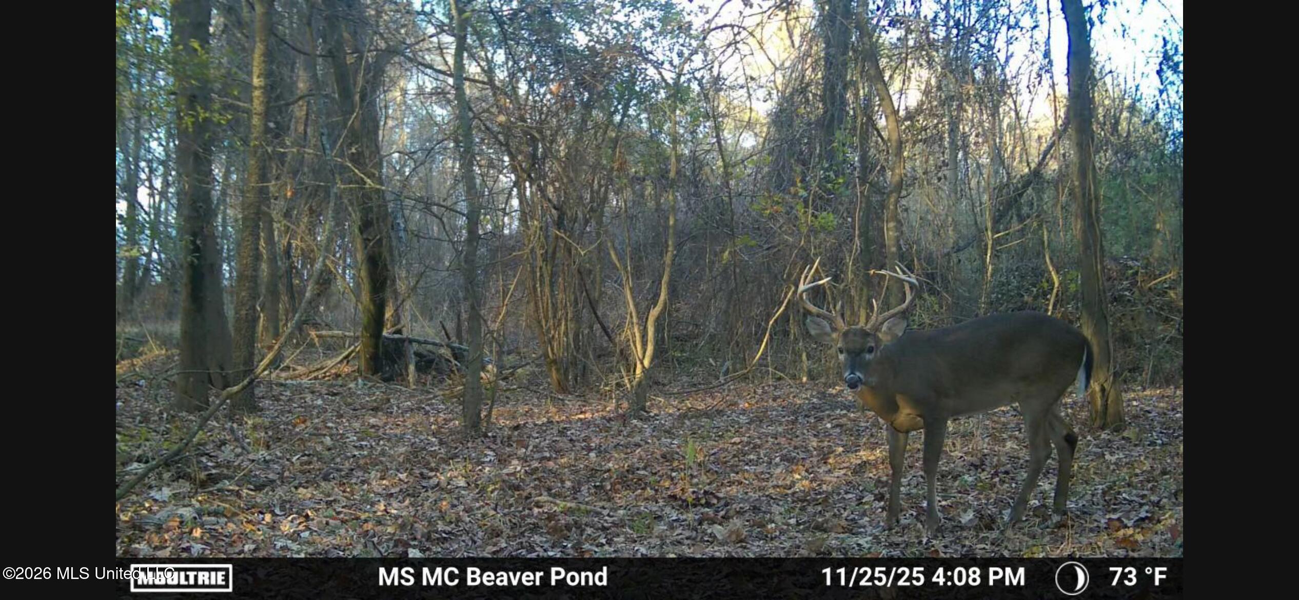 550 County Road Minter City, MS 38944 - Photo 15 of 15 IMG_6586