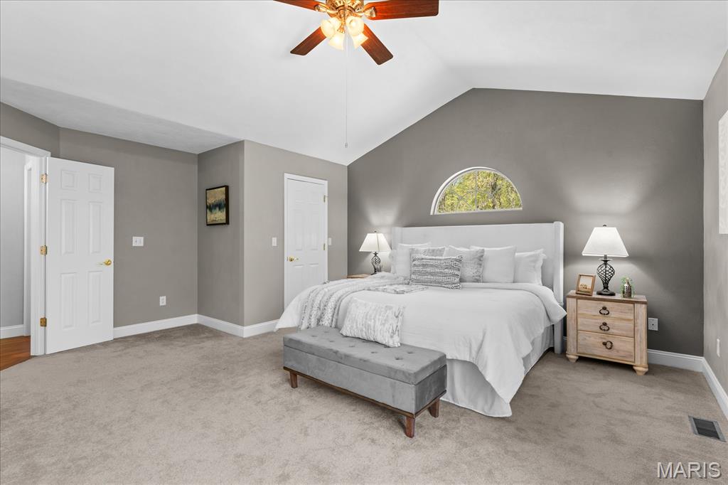 12532 Tree Line Drive Highland, IL 62249 - Photo 32 of 64 Gallery Image 32