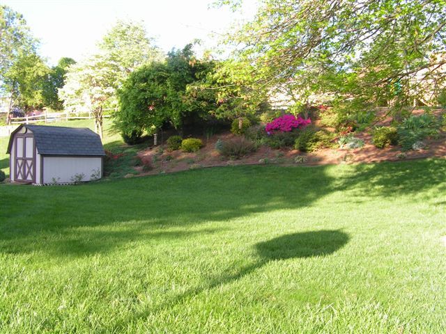 6713 Stonington Road Roanoke, VA 24019 - Photo 32 of 32 Backyard