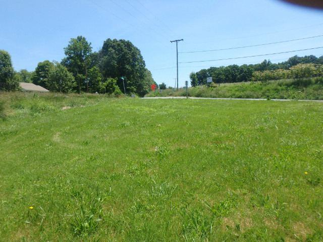 1025 Carroll Road Goodview, VA 24095 - Photo 3 of 6 a view of a grassy field with grass