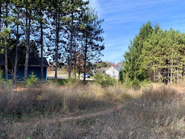 Tbd Lone Tree Road Traverse City, MI 49685 - Photo 8 of 22