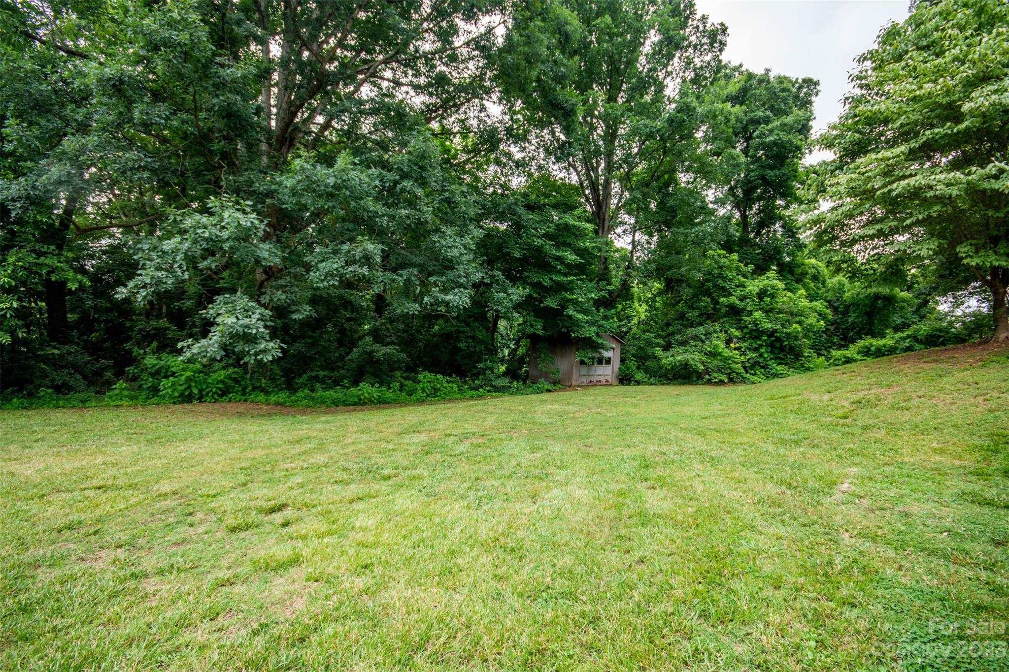 357 Pop Davis Road Taylorsville, NC 28681 - Photo 36 of 45 a view of a field with a trees in the background