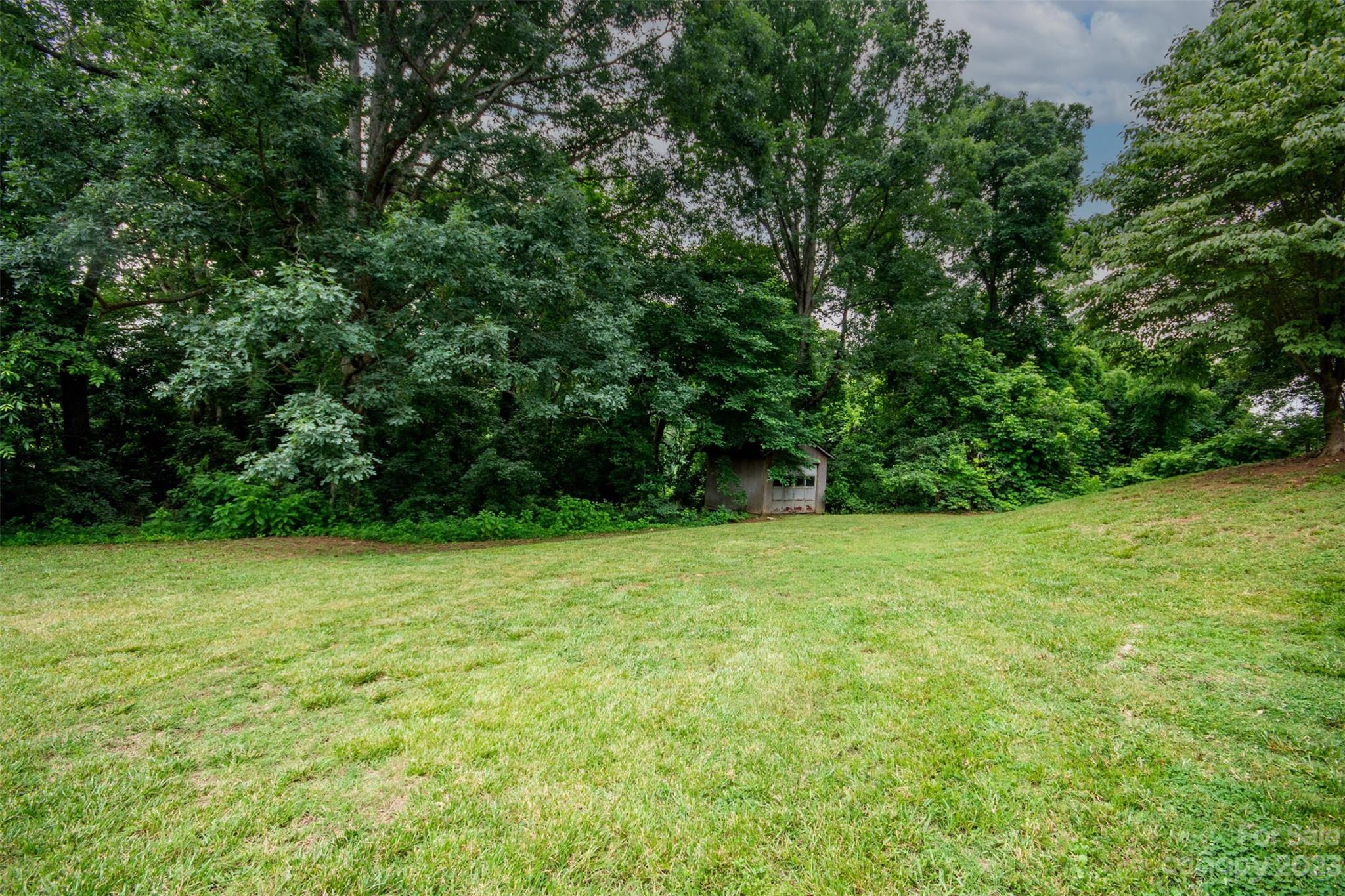 357 Pop Davis Road Taylorsville, NC 28681 - Photo 39 of 45 a view of a field with a trees in the background