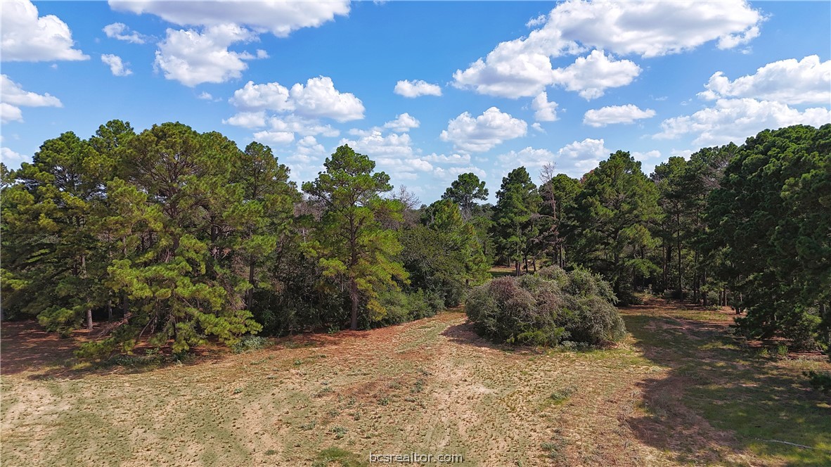 8 & 13) Road Paige, TX 78659 - Photo 14 of 22 Gallery Image 14