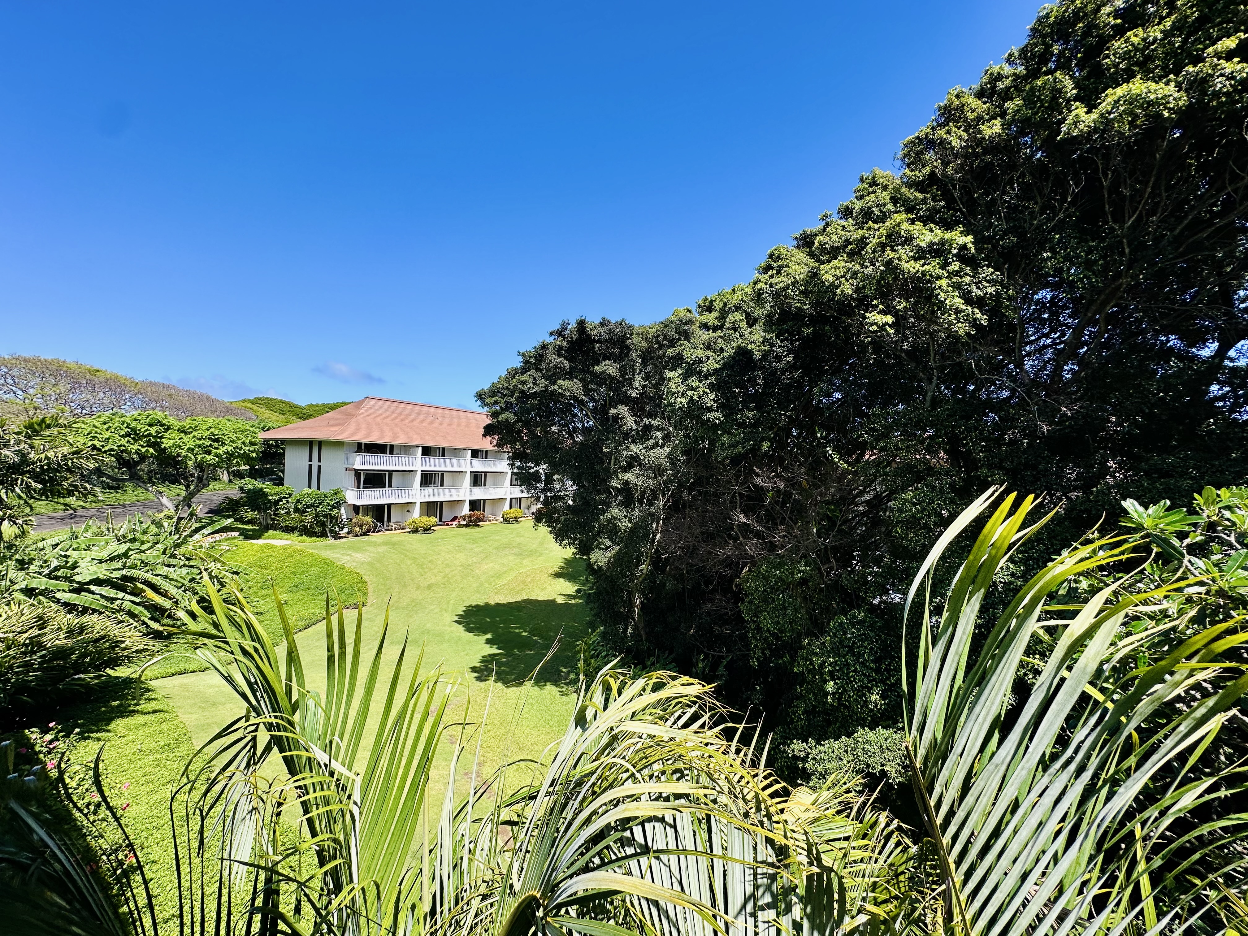 2253 Poipu Road, Unit 446 Koloa, HI 96756 - Photo 13 of 16 a front view of a house with a yard