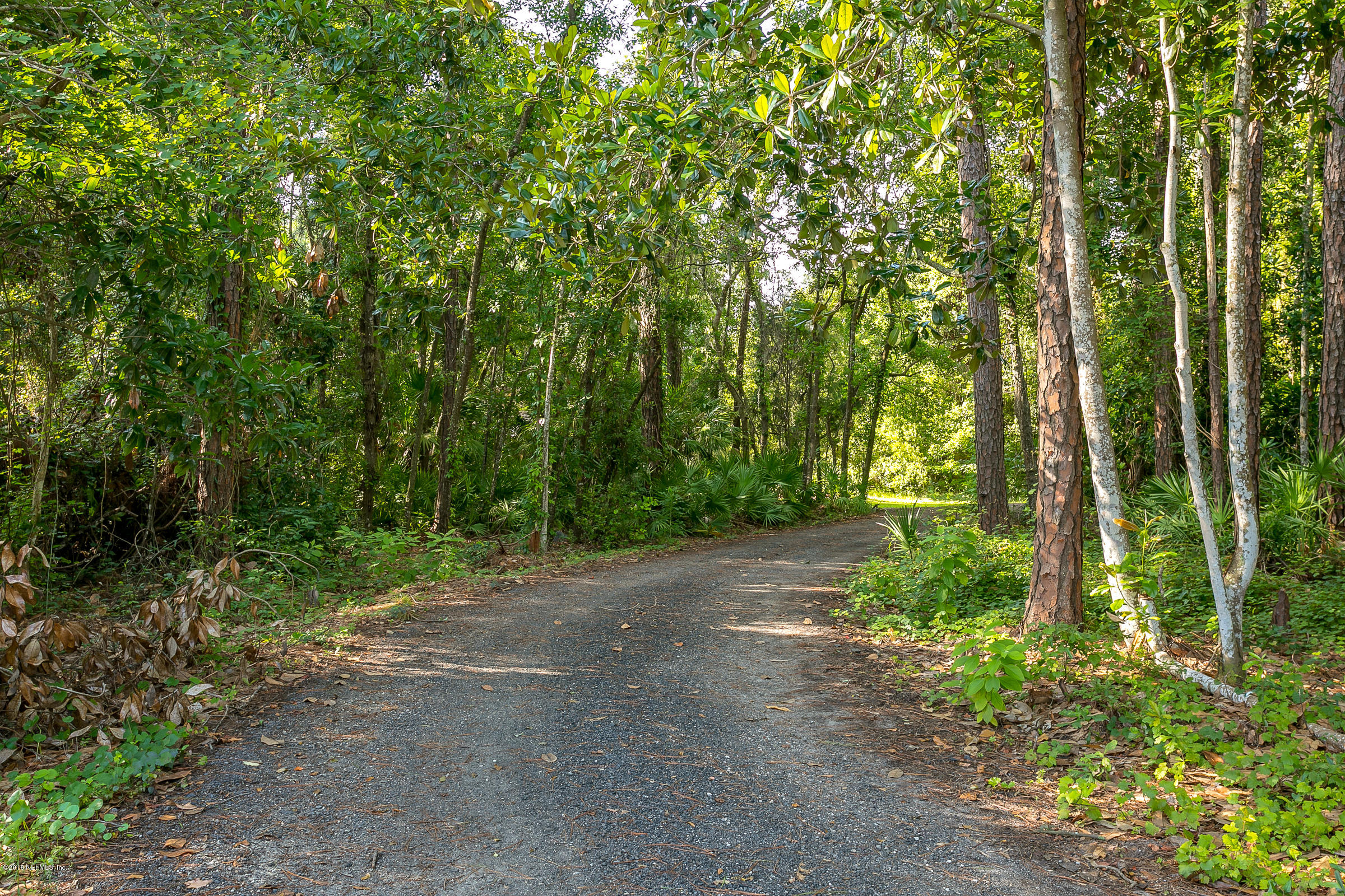 4935 Raggedy Point Road Fleming Island, FL 32003 - Photo 37 of 43 Secluded_Driveway