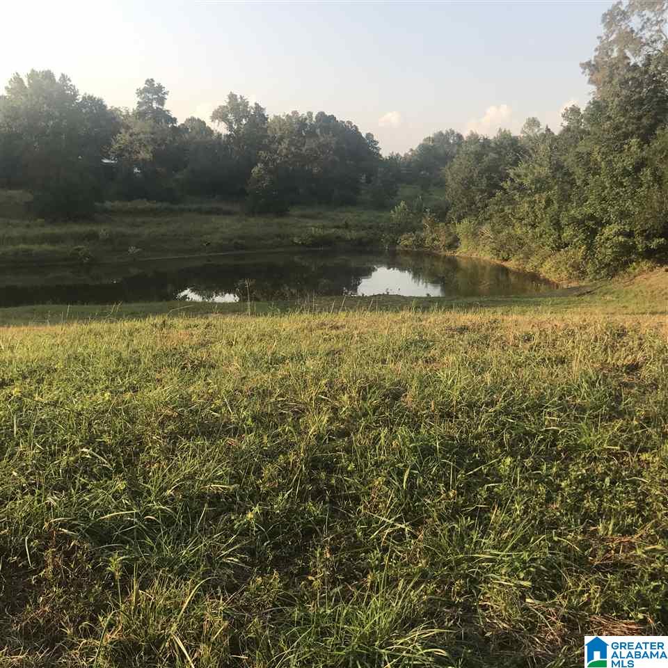 Covered Bridge Road Cleveland, AL 35049 - Photo 20 of 30 Gallery Image 20