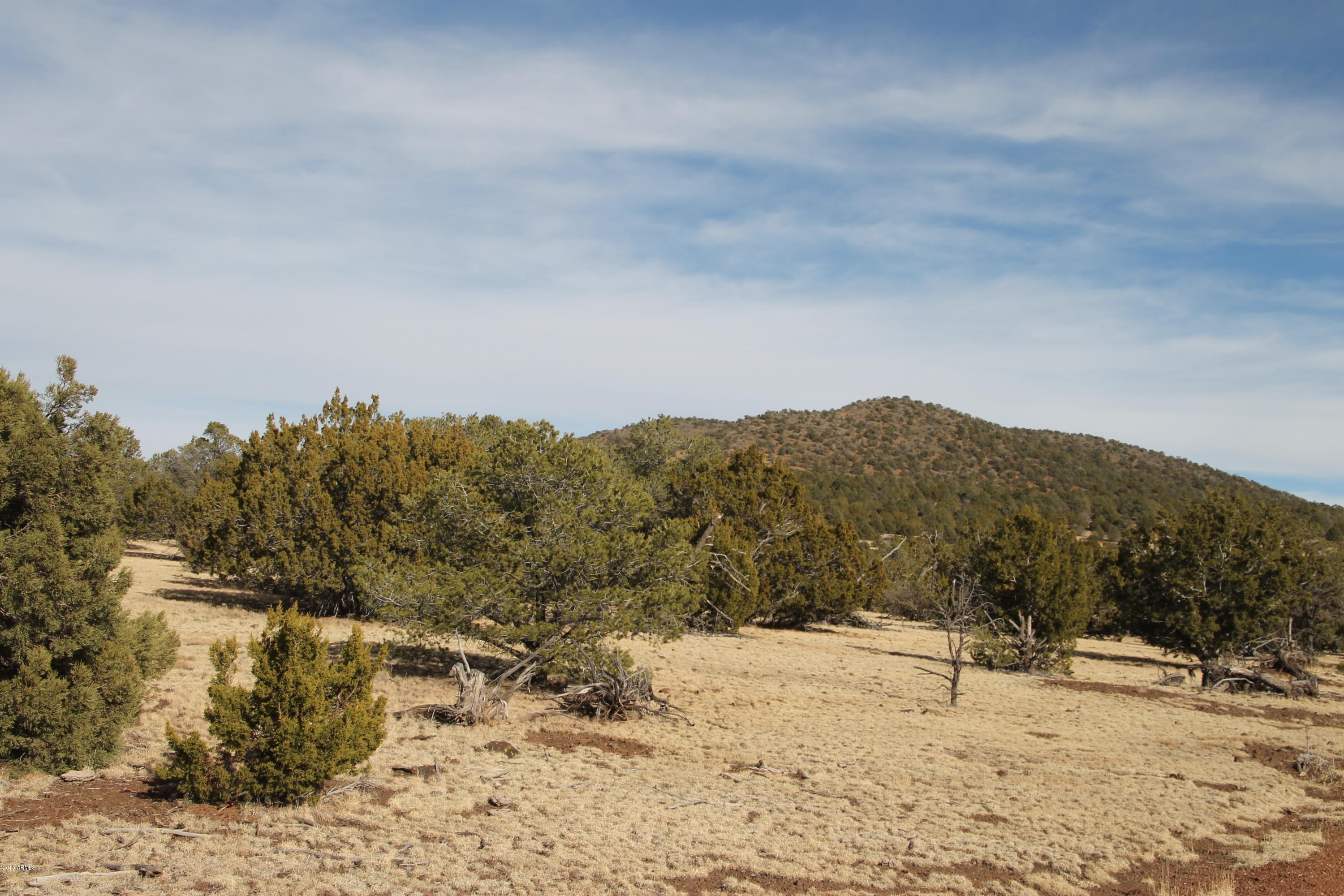 0 North Buck Ridge Road Williams, AZ 86046 - Photo 1 of 4 IMG_3005