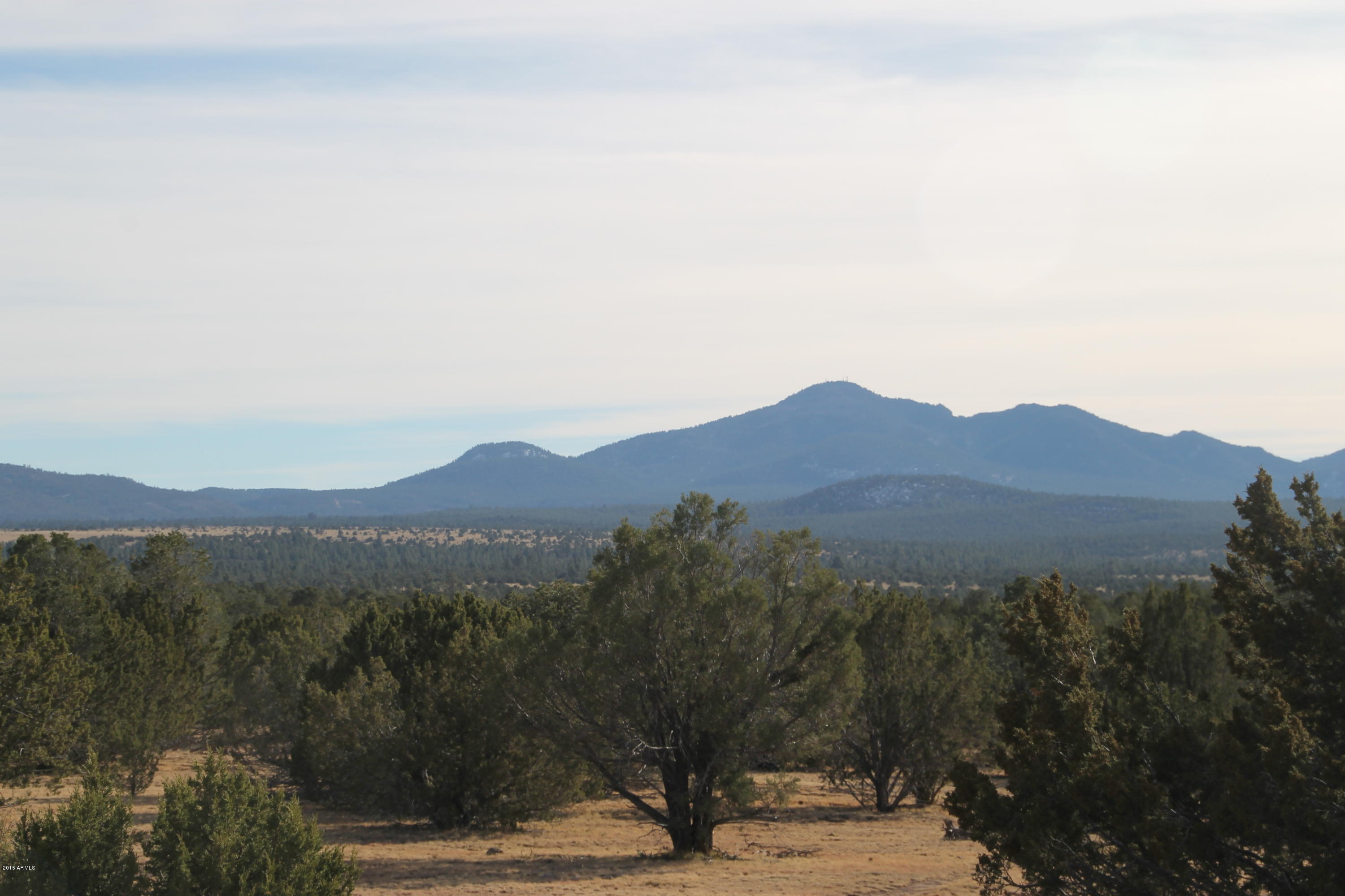 0 North Buck Ridge Road Williams, AZ 86046 - Photo 2 of 4 IMG_3007