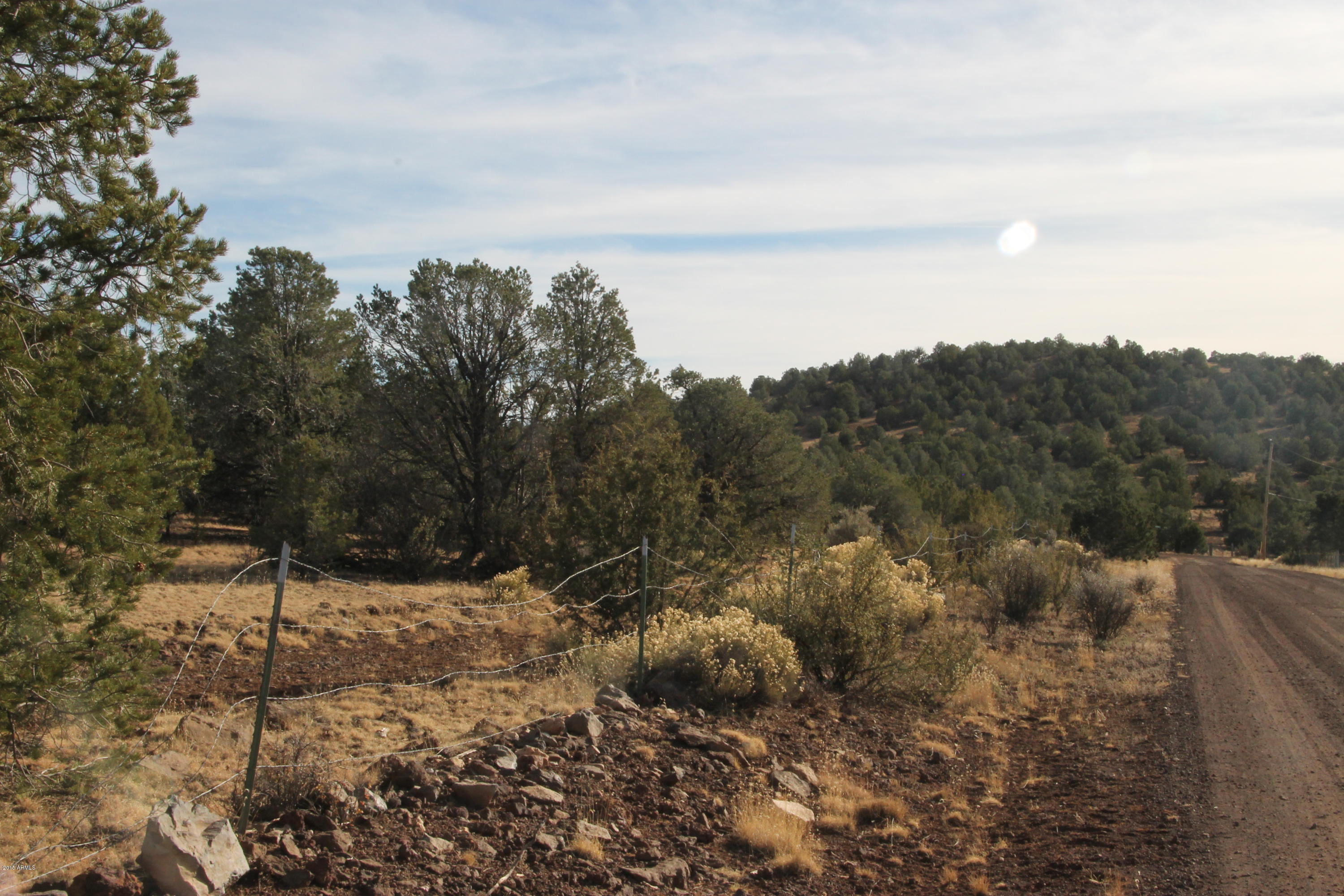 0 North Buck Ridge Road Williams, AZ 86046 - Photo 4 of 4 IMG_3001