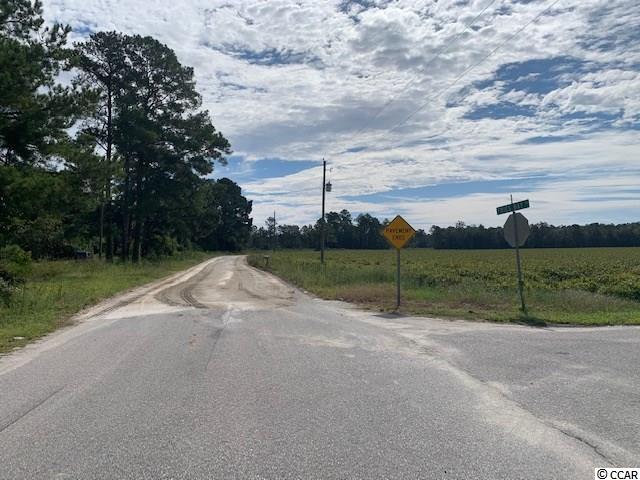 4371 Fries Bay Road Loris, SC 29569 - Photo 2 of 30