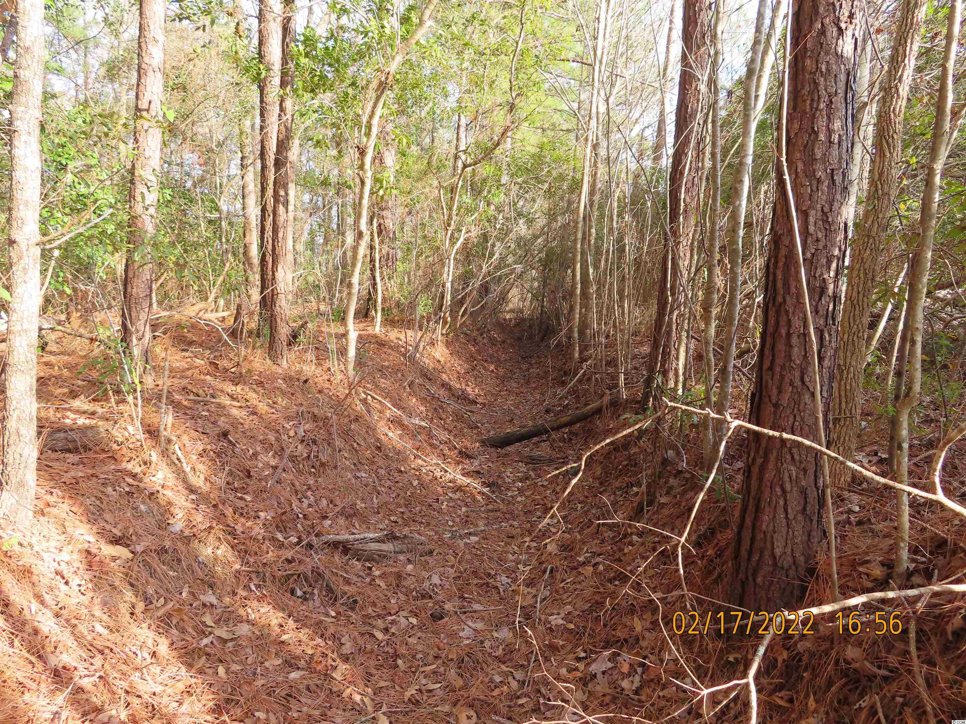 4371 Fries Bay Road Loris, SC 29569 - Photo 21 of 30