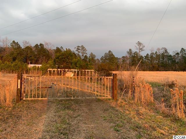 4371 Fries Bay Road Loris, SC 29569 - Photo 7 of 30