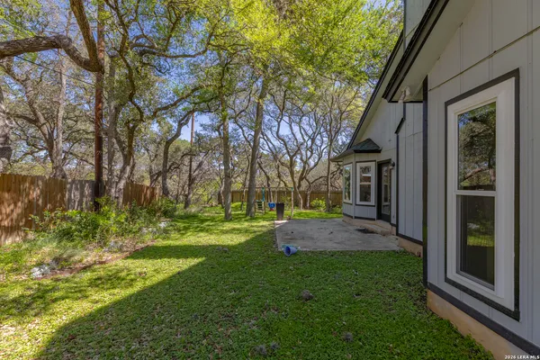 a view of a backyard with plants and large trees