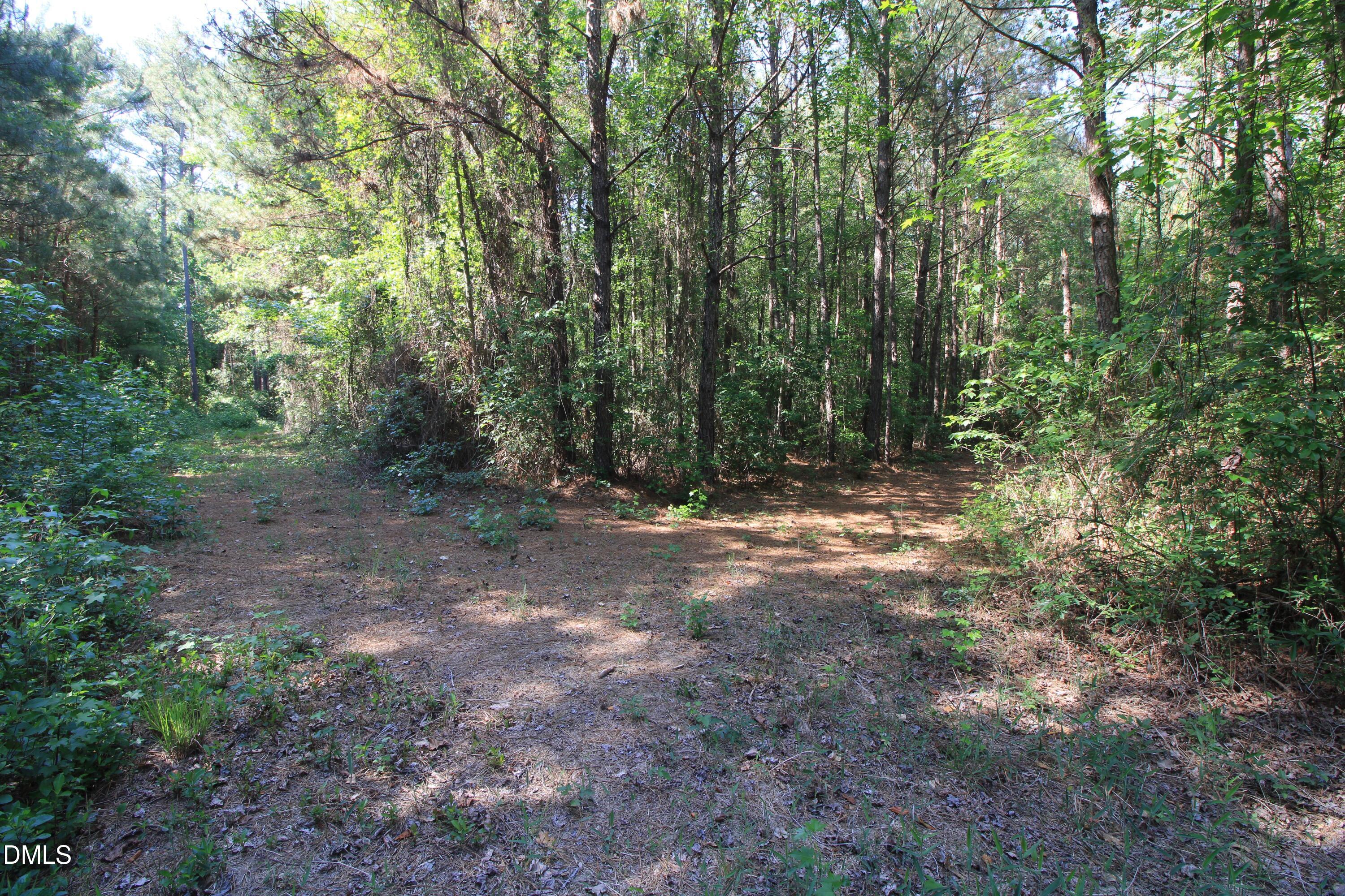 0 Johnson Pond Road Fuquay-Varina, NC 27526 - Photo 24 of 27 Copy of Ground West Parcel Trail Interse