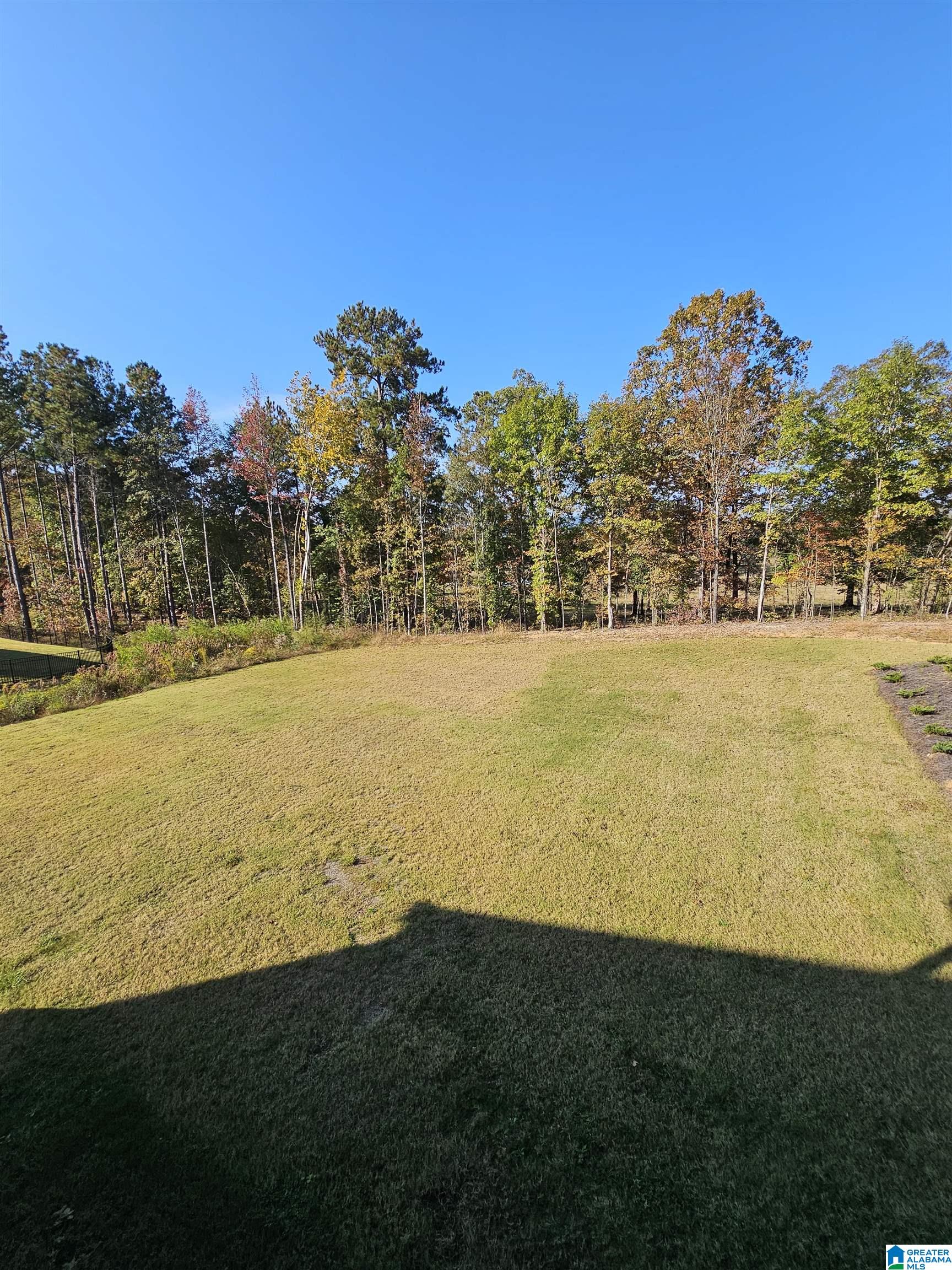 875 Chelsea Park Road Chelsea, AL 35043 - Photo 33 of 65