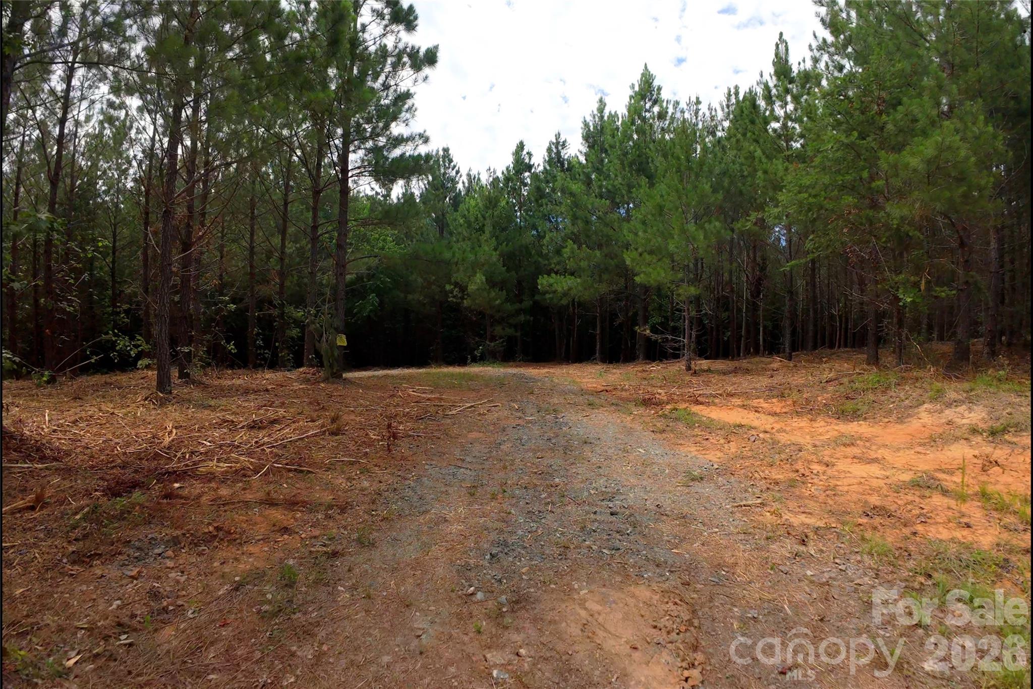 8 Morrison Road Morganton, NC 28655 - Photo 4 of 8 Gallery Image 4