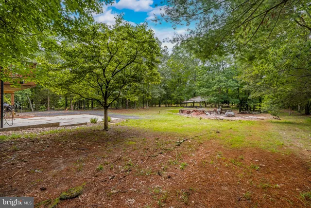 a view of a tree in a yard