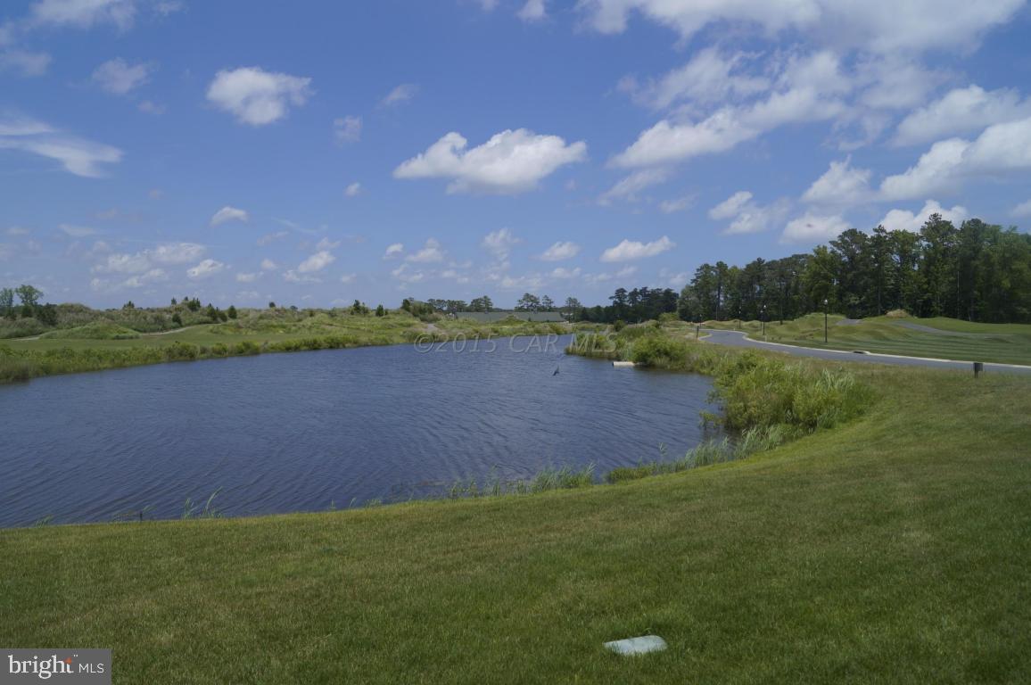10202 Ruffian Lane Berlin, MD 21811 - Photo 10 of 71 Gallery Image 10