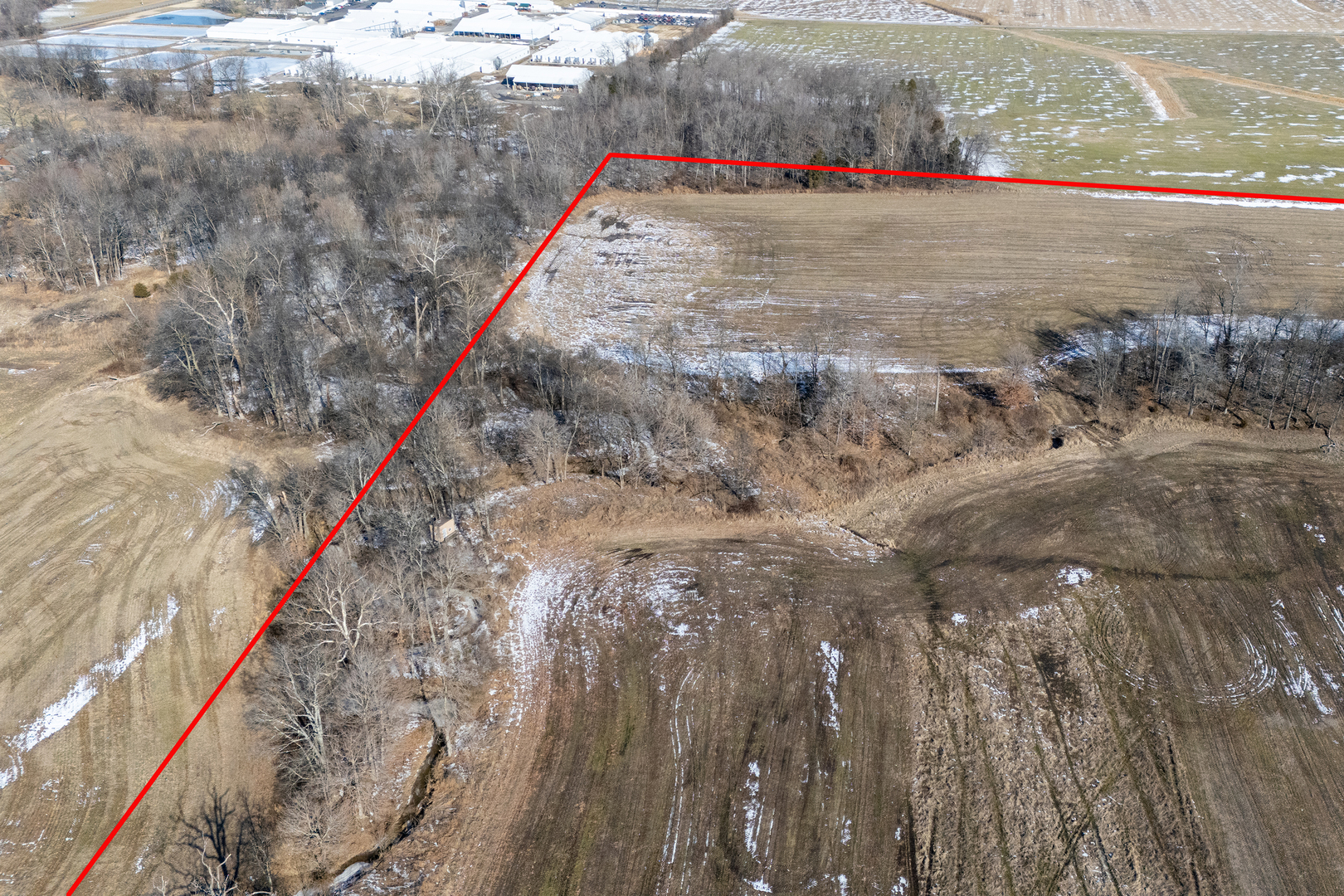 Tbd South Market Street Marion, IL 62959 - Photo 15 of 22 a close up of a tree