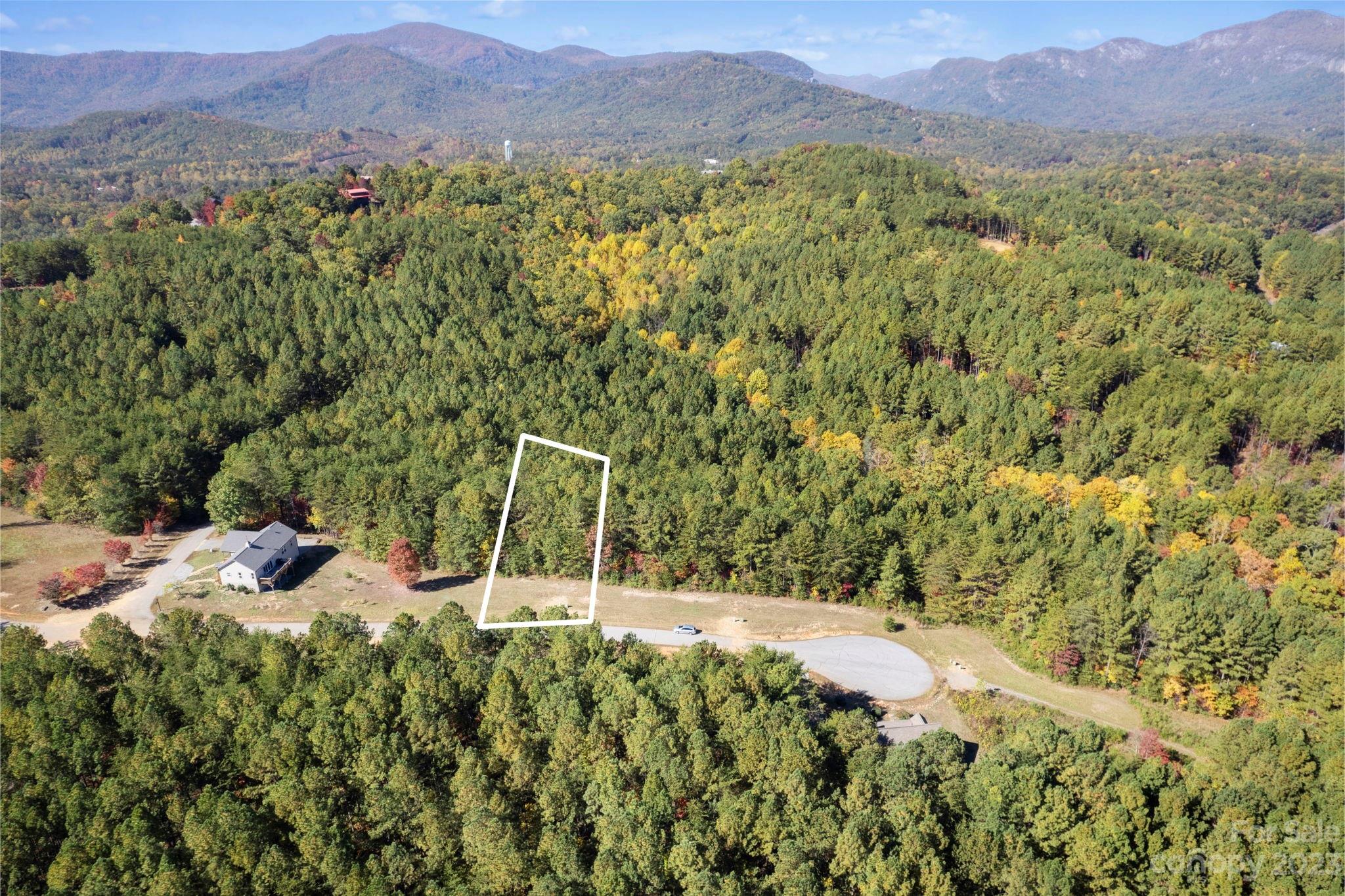 a view of a lush green field with mountains in the background