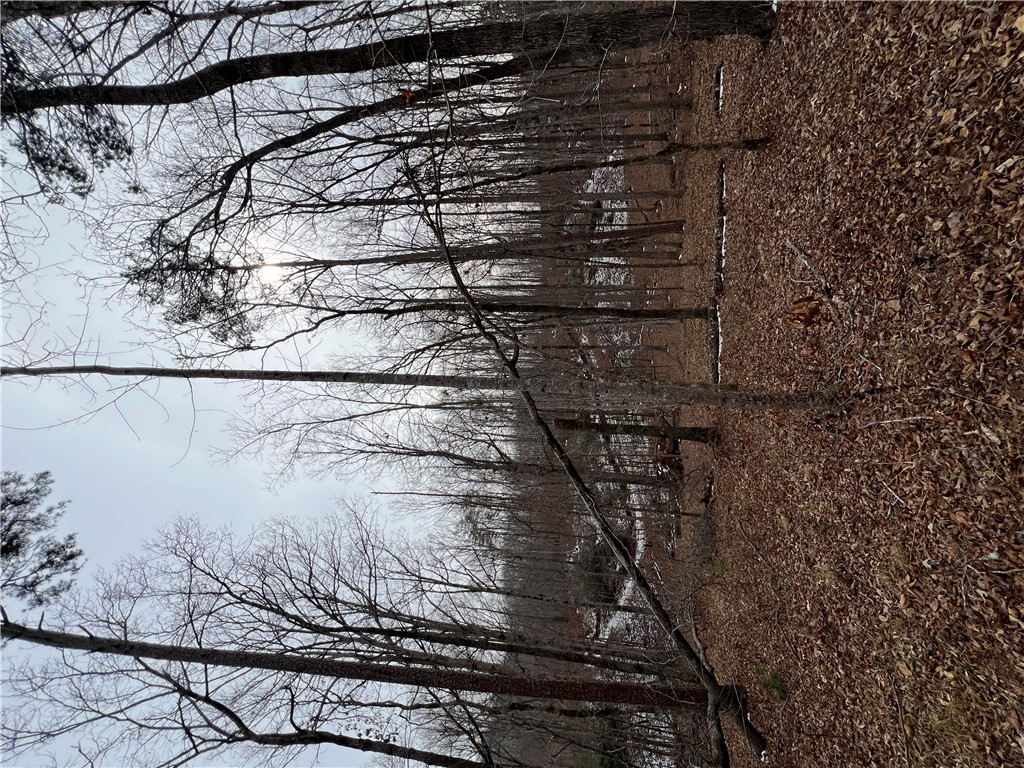 8 Gabriel Way Pickens, SC 29671 - Photo 9 of 12 A tranquil wooded lot offers a private escape, ready for your vision.
