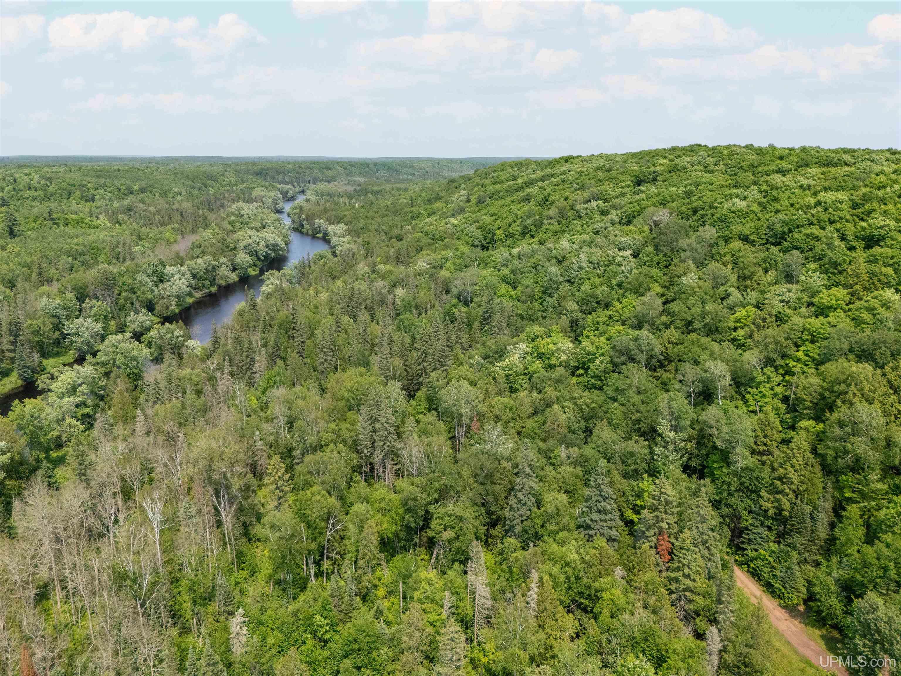 Tbd Pollack Road Iron River, MI 49935 - Photo 4 of 10