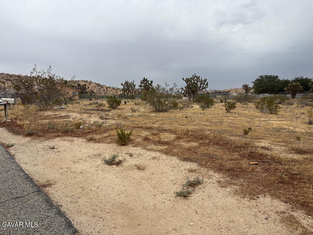 St Street East Palmdale, CA 93591 - Photo 2 of 5 30 2