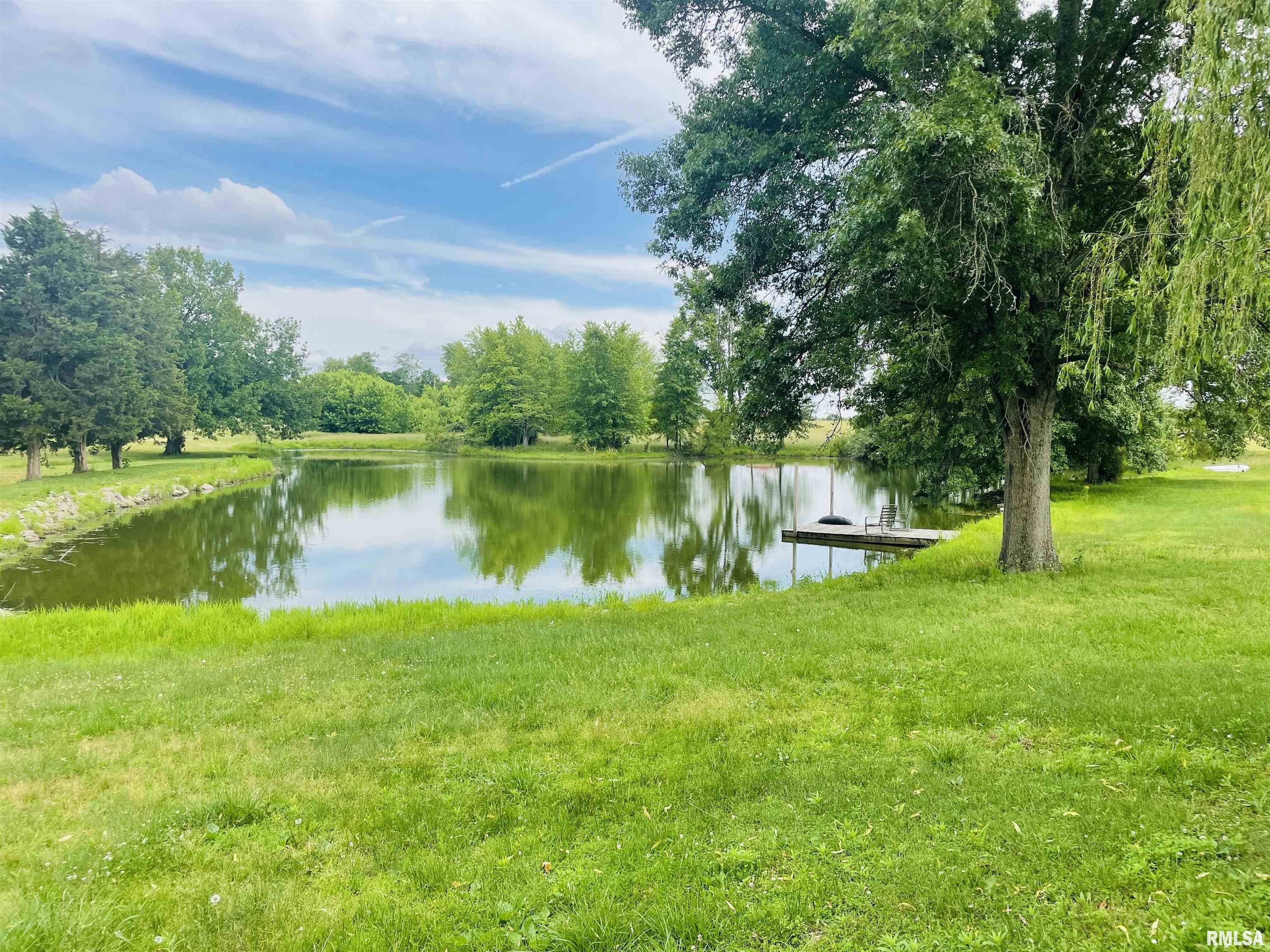 3881 Kell Road Centralia, IL 62801 - Photo 8 of 39