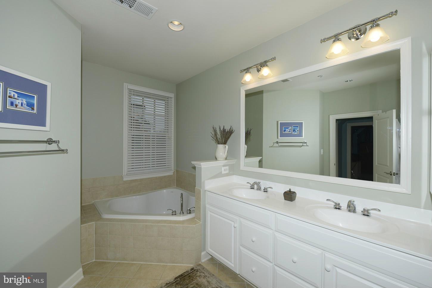1722 Carpenter Road Alexandria, VA 22314 - Photo 20 of 30 Oversized Soaking Tub