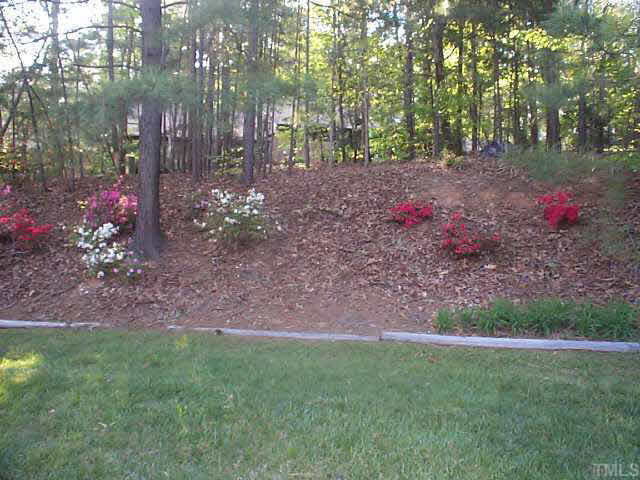 728 Red Forest Trail Raleigh, NC 27615 - Photo 8 of 8 a view of a backyard