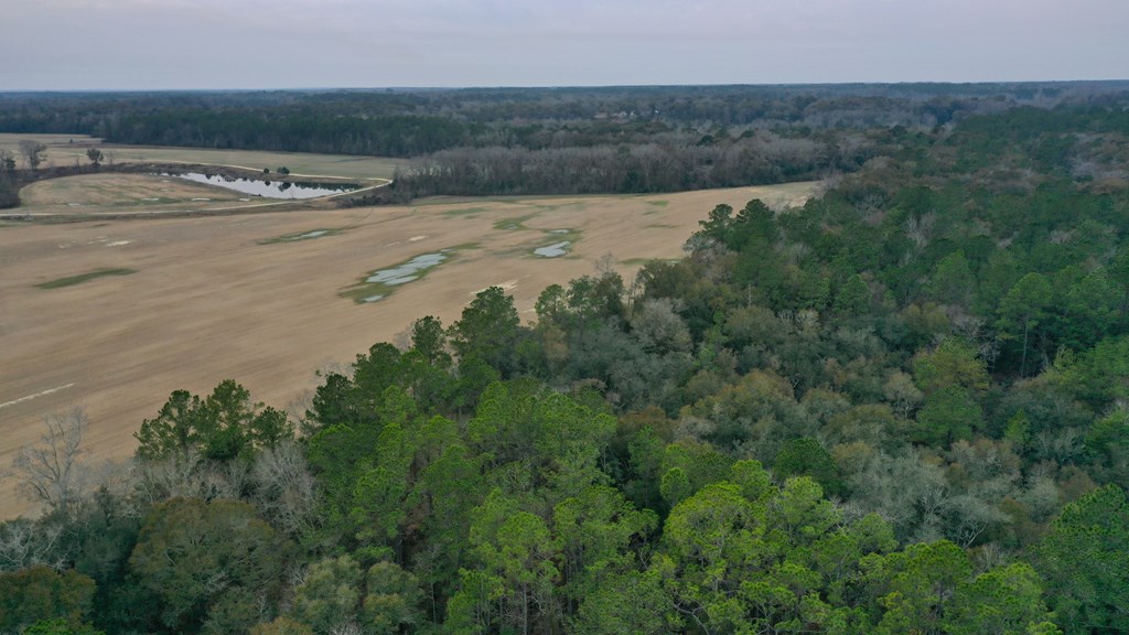15.05 Pera Road Samson, AL 36477 - Photo 13 of 29
