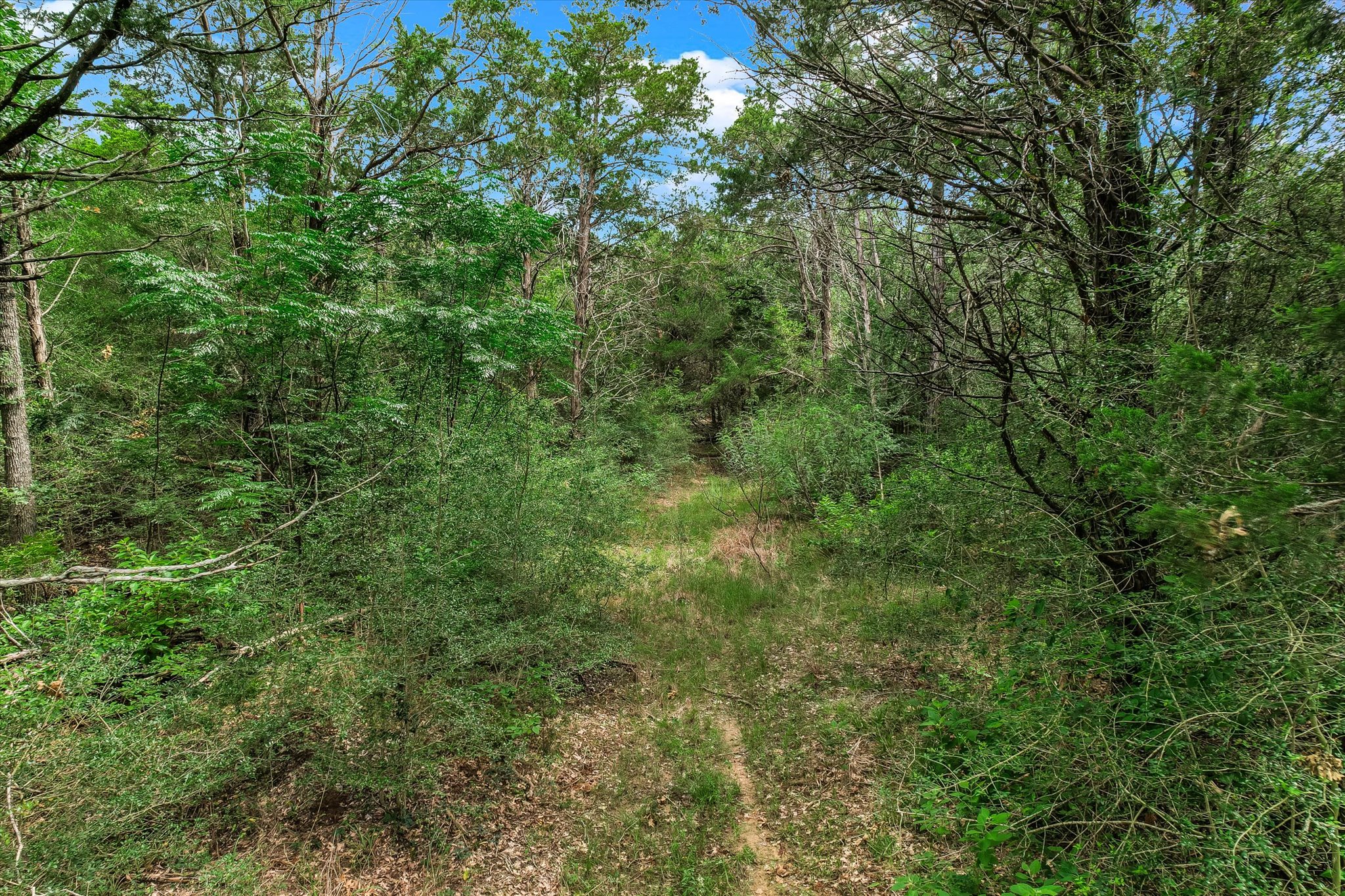 12-13 High Crossing Road Smithville, TX 78957 - Photo 6 of 15