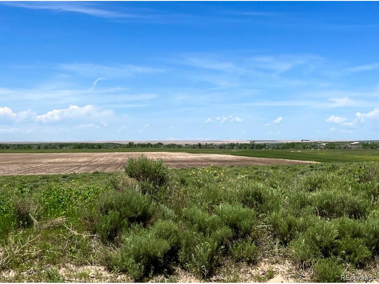 1 Mimosa Road Byers, CO 80103 - Photo 3 of 4 Looking west. Beautiful Bijou Creek view lined with trees and the mountains in the distance. Great location for home build site.