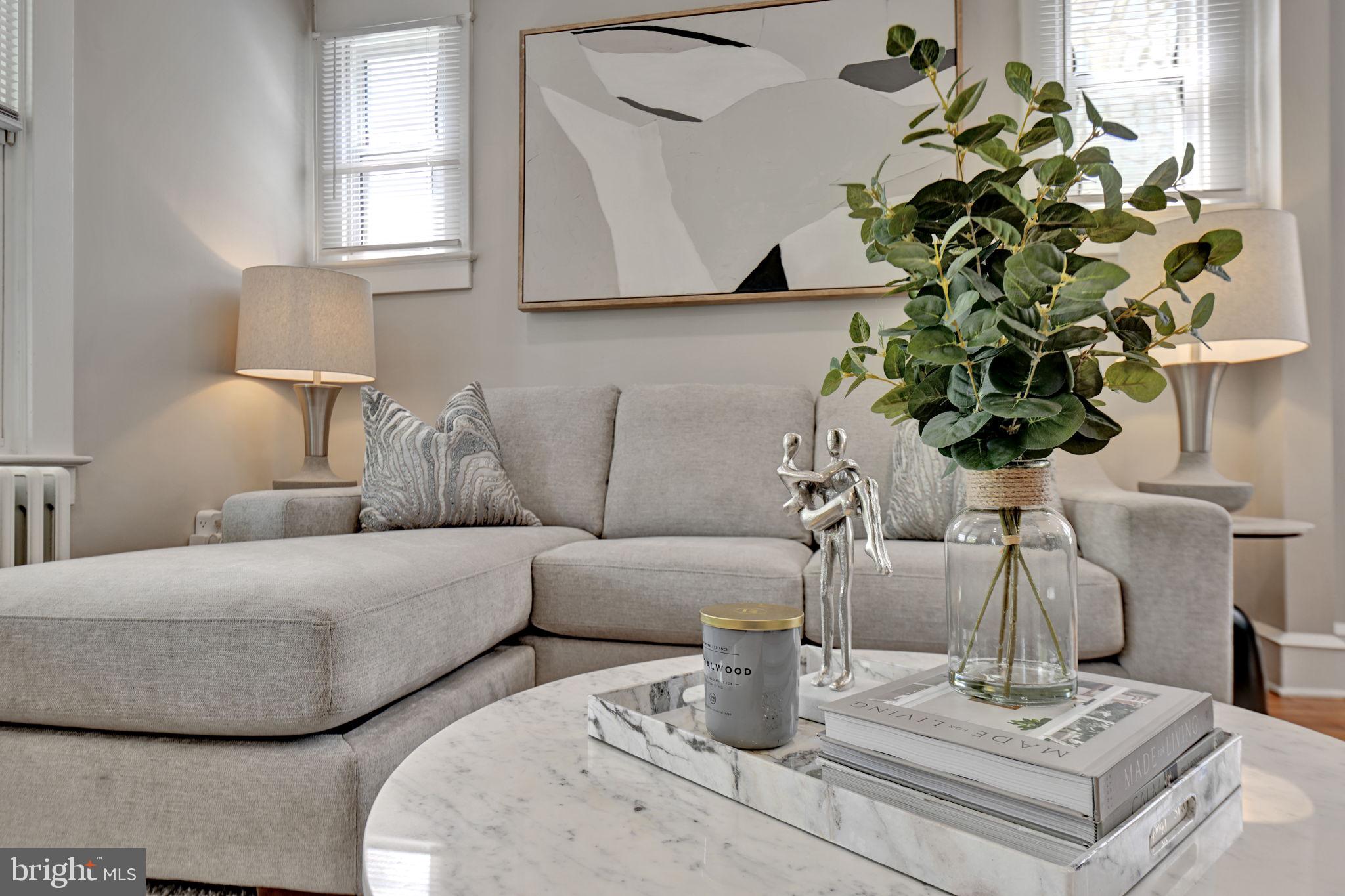 3005 7th Street Southeast Washington, DC 20032 - Photo 4 of 56 a living room with furniture and a potted plant