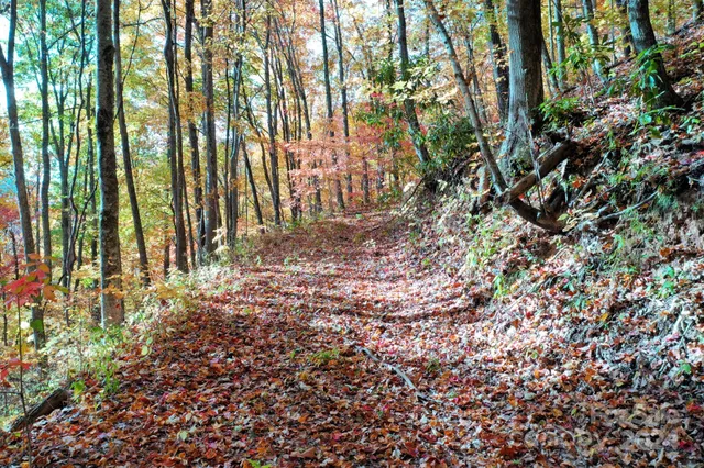 $89,500 | 0 Osceola Trail, Whittier, NC 28789