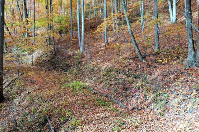 $89,500 | 0 Osceola Trail, Whittier, NC 28789