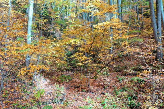 $89,500 | 0 Osceola Trail, Whittier, NC 28789