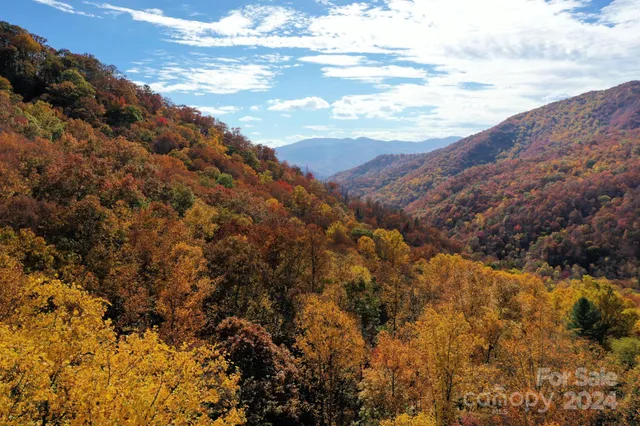 $89,500 | 0 Osceola Trail, Whittier, NC 28789